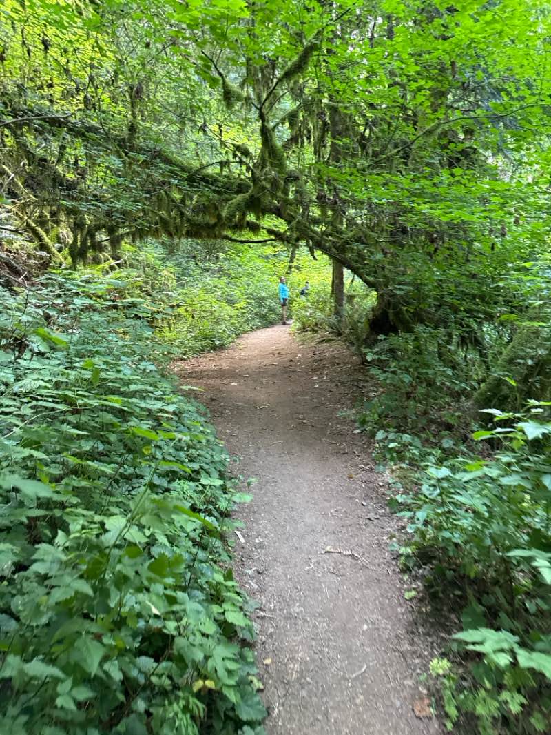 walking near me in Robe Canyon Park in autumn