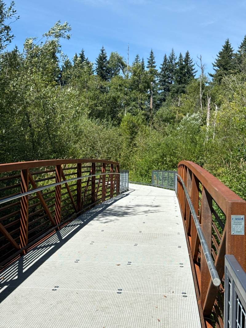 walking near me in Scriber Lake Park in summer