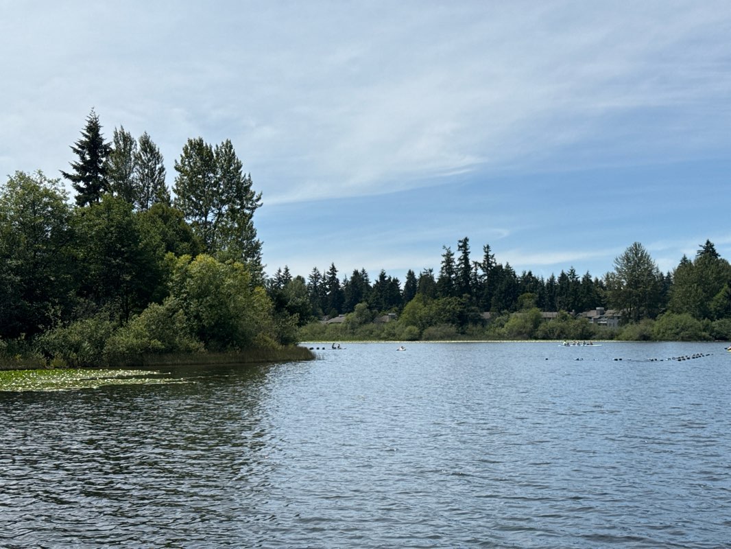 walking near me in Thornton A Sullivan Park in summer