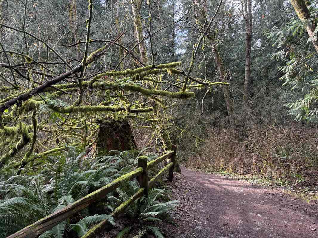 walking near me in McCollum Pioneer Park in winter