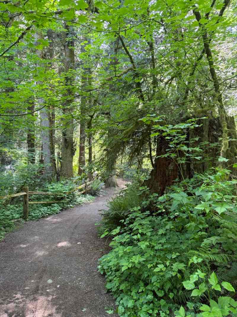 walking near me in McCollum Pioneer Park in summer