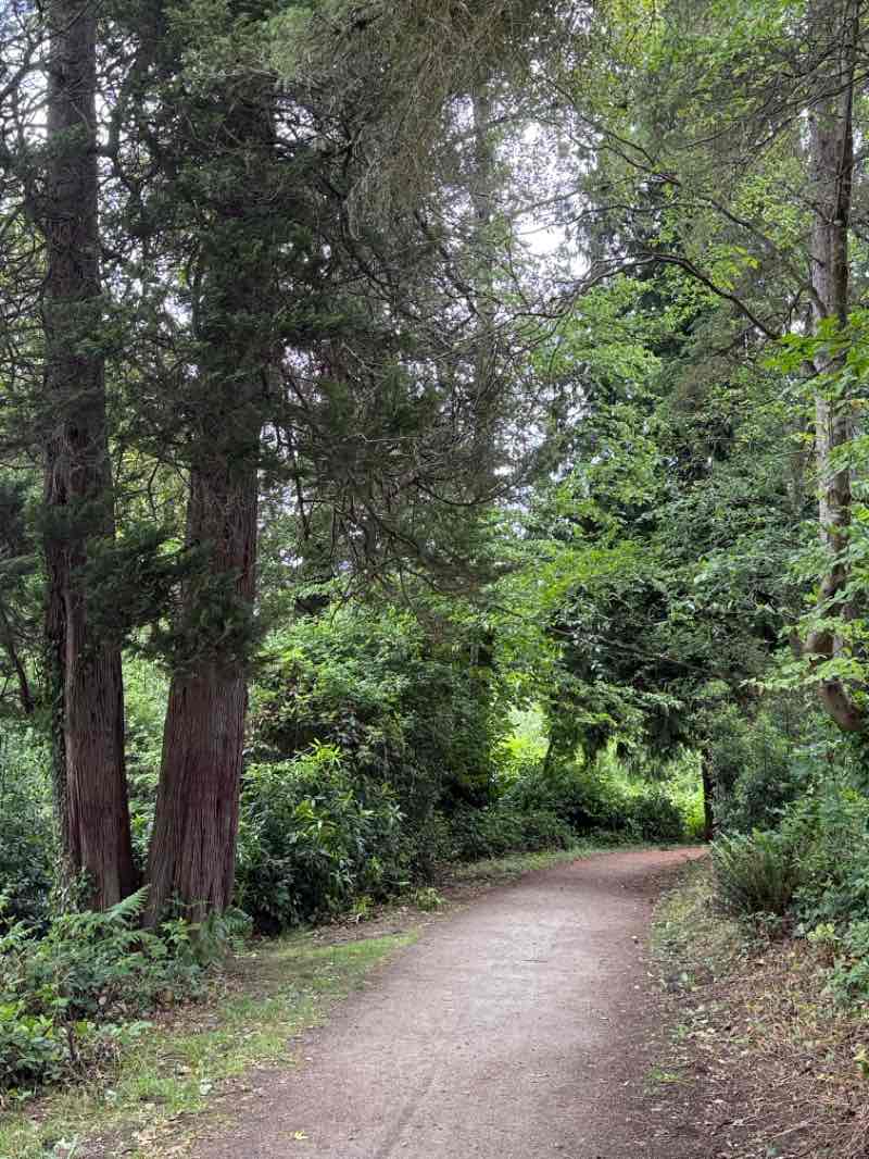 walking near me in Hauge Homestead Park in summer