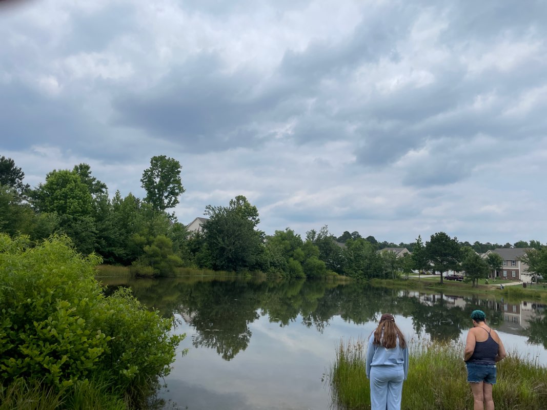 walking near me in Ellis Pond Greenway in summer