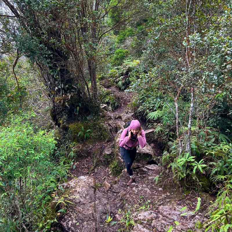 Puteri Ashqistina profile