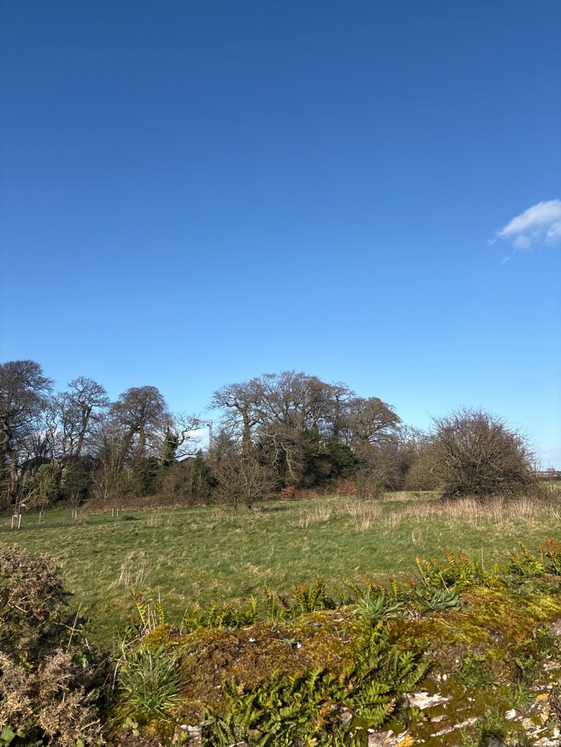 walking near me in Joe McHugh Park in spring