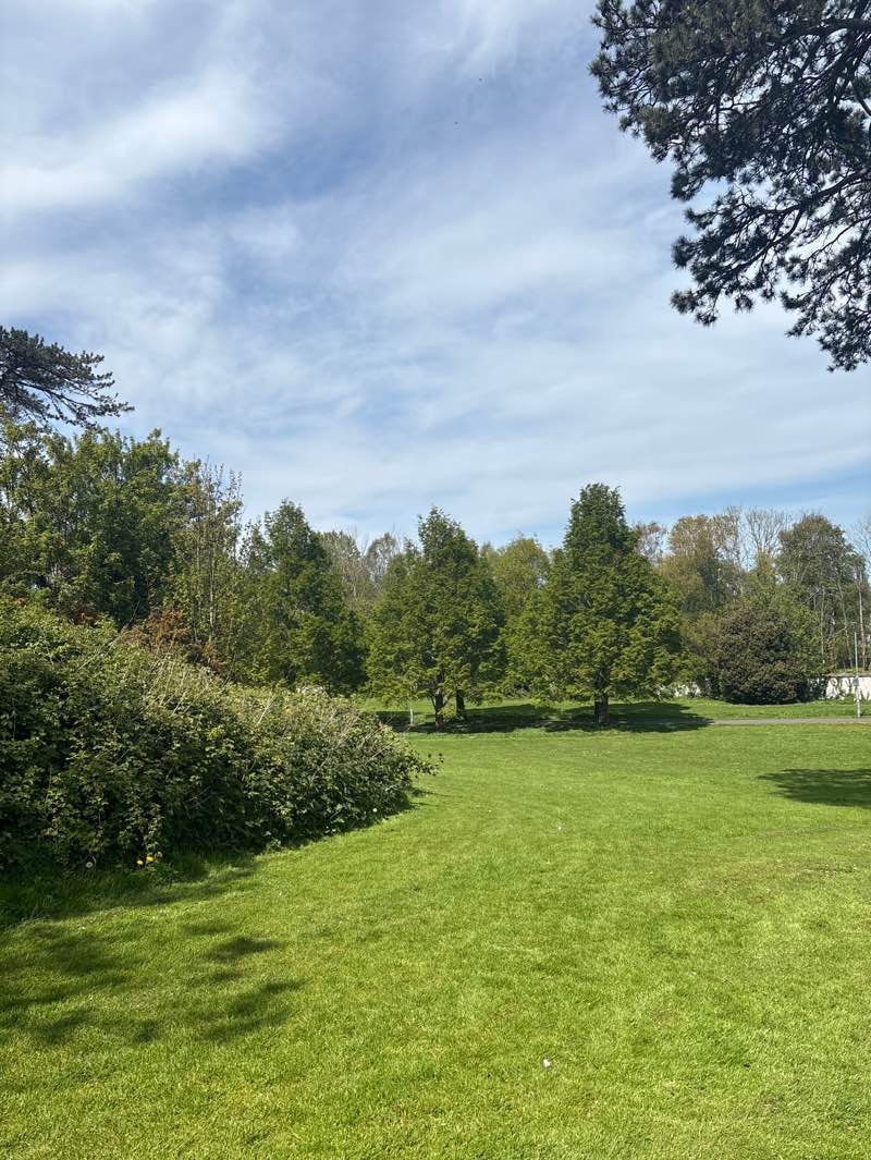 walking near me in Rockfield Park in spring