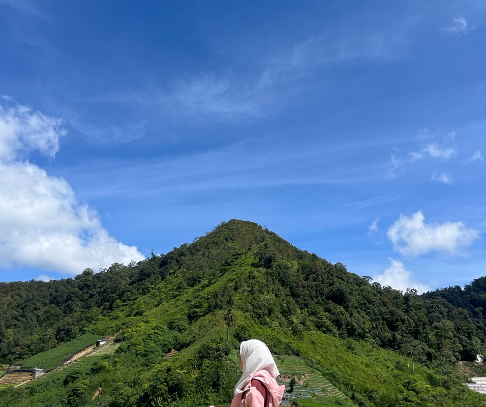 Hafizah icon