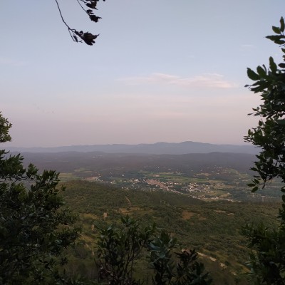 var David Michel post image