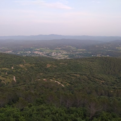 var David Michel post image