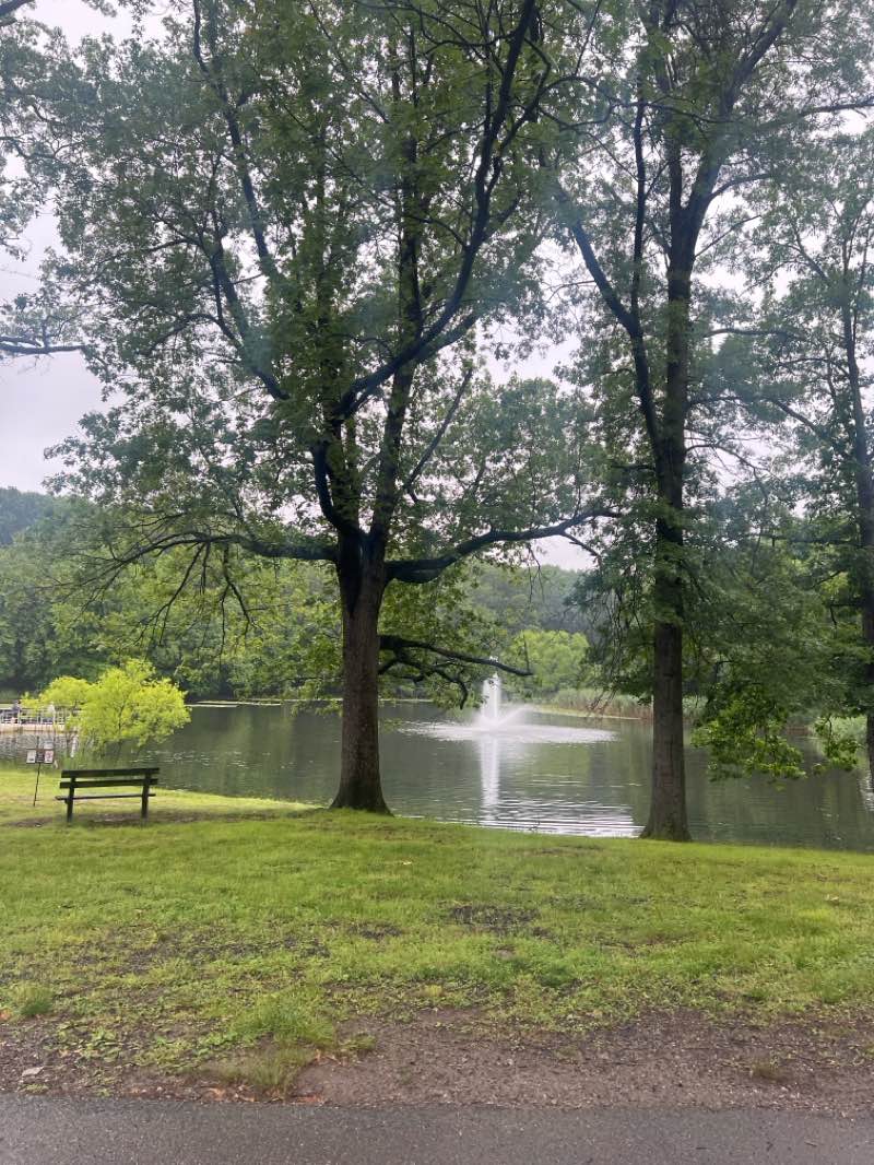 walking near me in Frank D. Zaccaria Memorial Park in summer