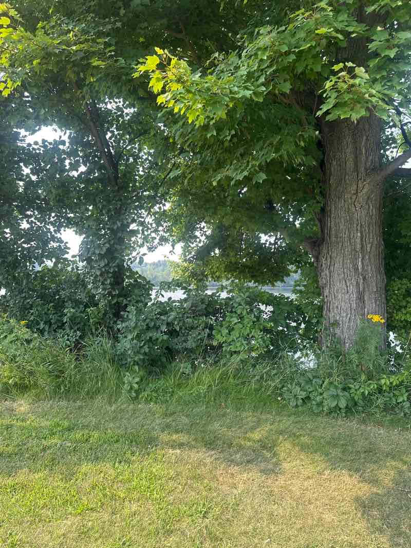 walking near me in Memorial Park in autumn