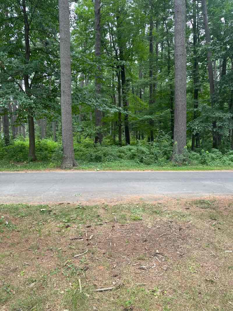 walking near me in Marathon Park in autumn