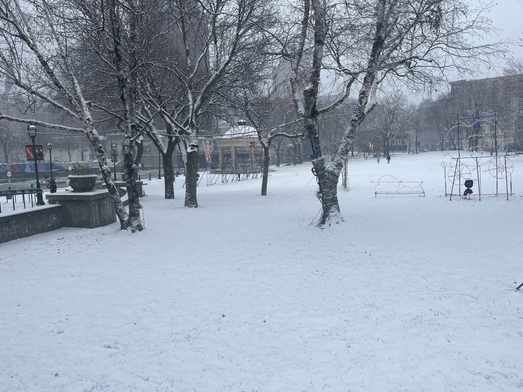 walking near me in Pere Marquette Park in autumn