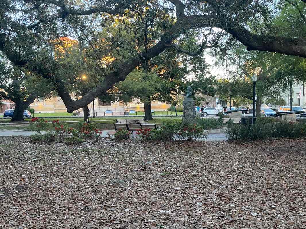 walking near me in Community Maritime Park in spring