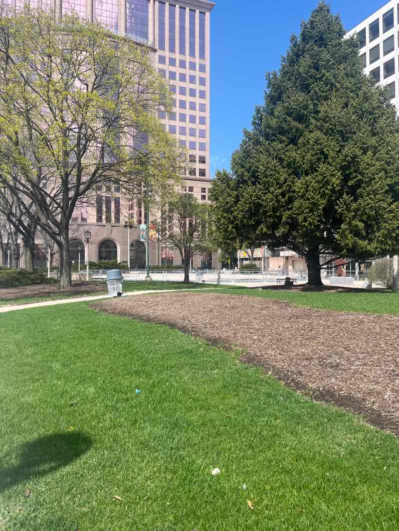 walking near me in Red Arrow Park in spring