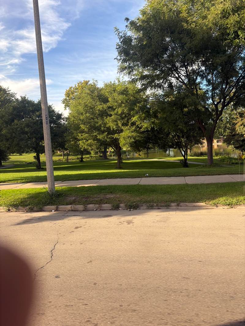 walking near me in Mitchell Park in autumn