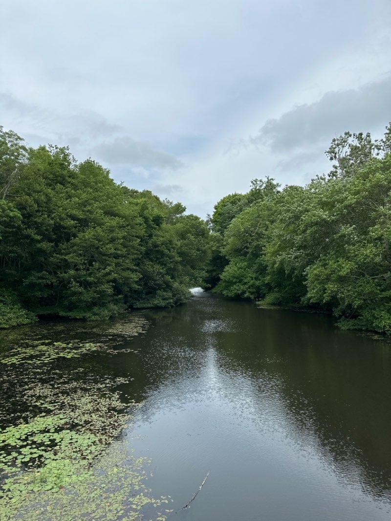 walking near me in Saugatucket Park in summer