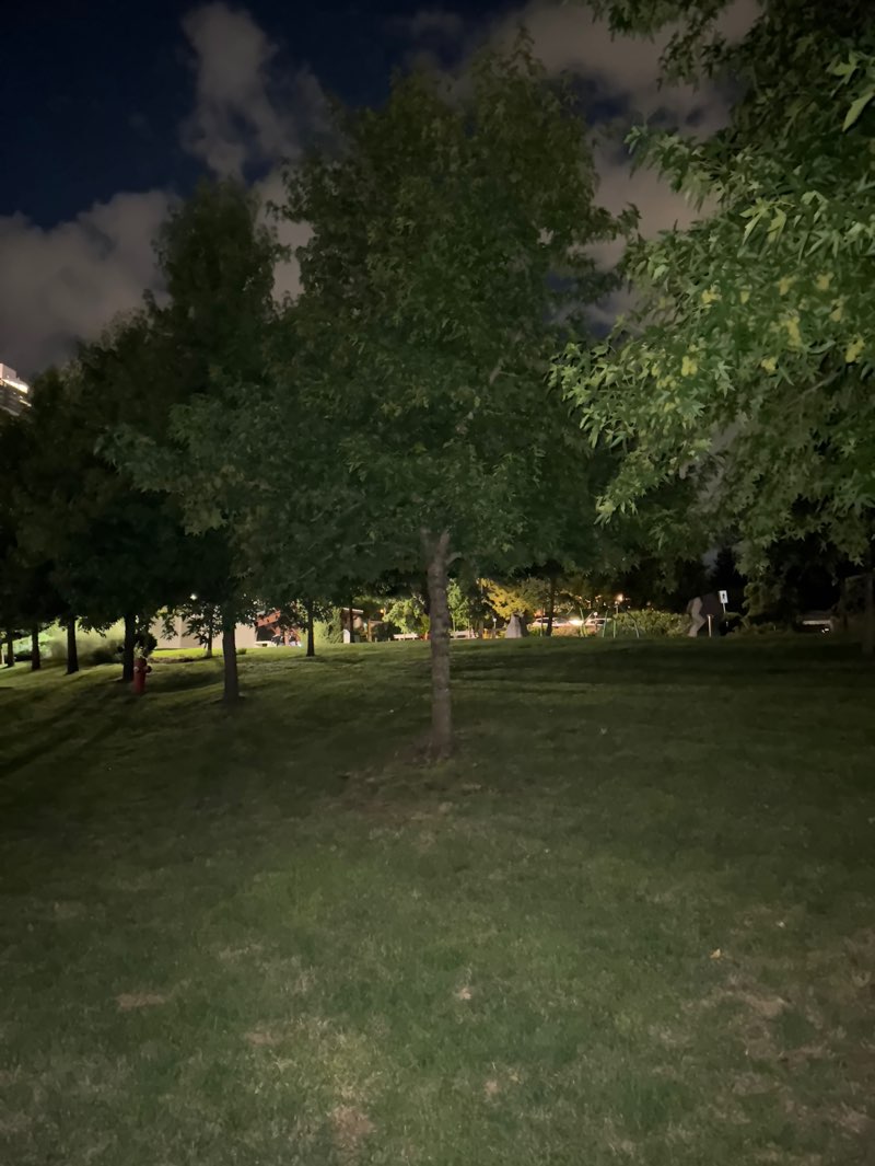 walking near me in Cottonwood Park in autumn