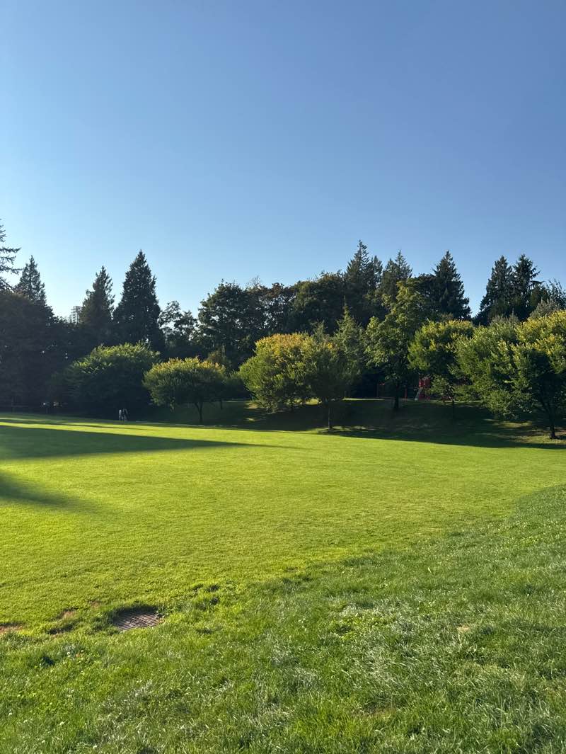 walking near me in Brookmere Park in autumn