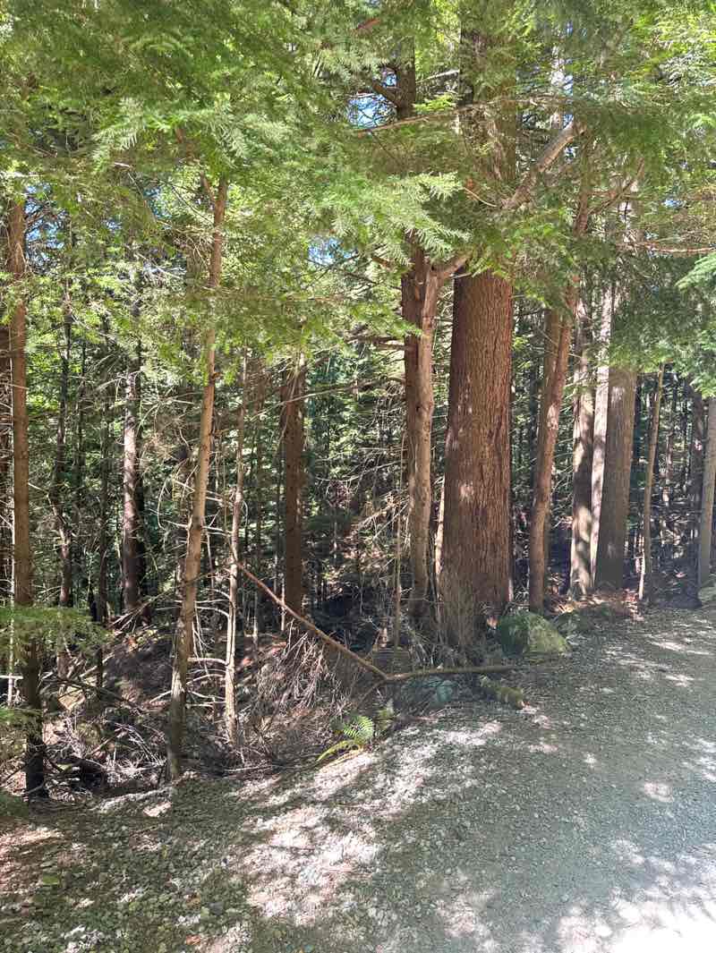 walking near me in Stawamus Chief Provincial Park in autumn