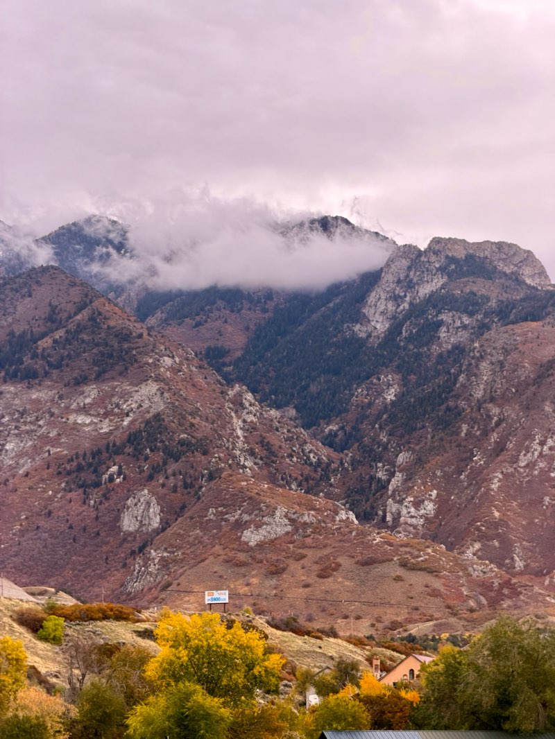 walking near me in Old Mill Park in autumn