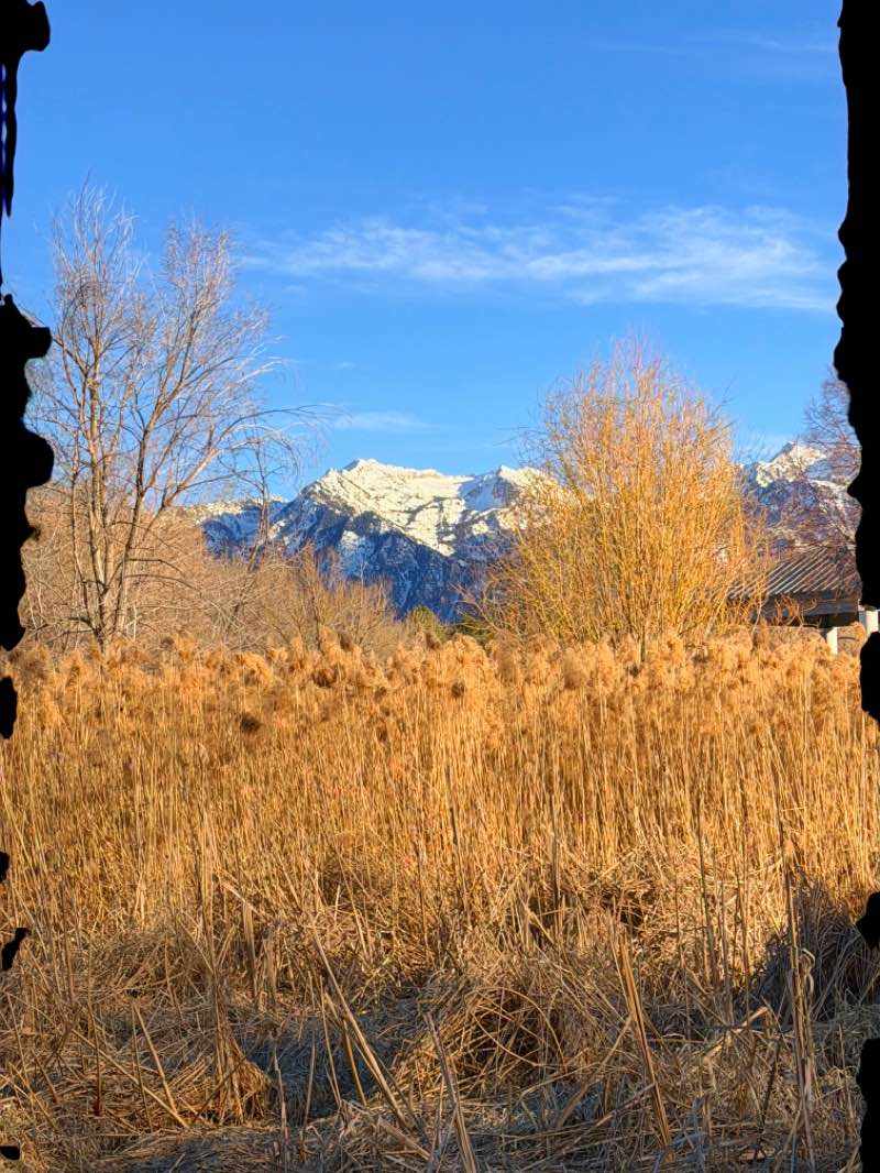 walking near me in Woodstock Meadows Park in spring