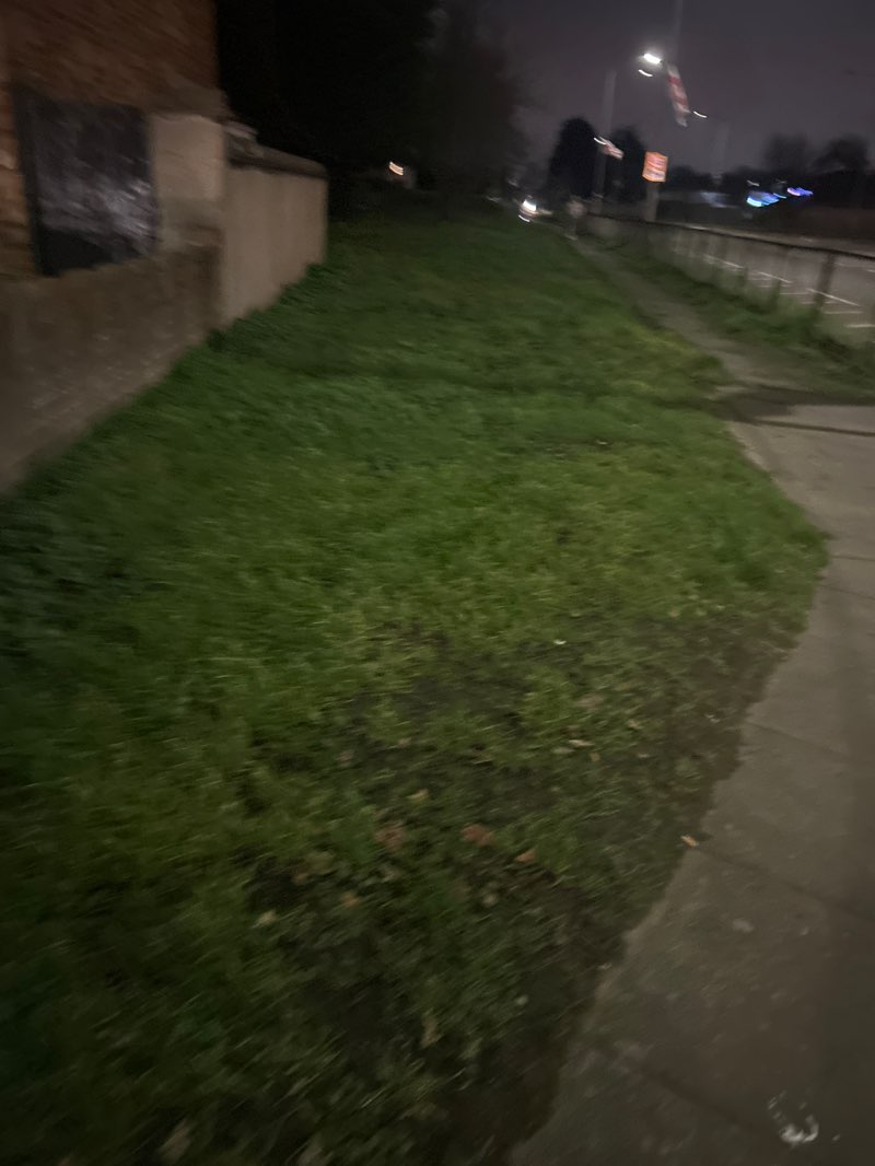 walking near me in Hangmans Park in winter