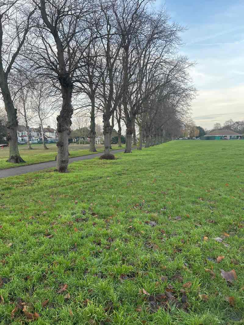 walking near me in Goodmayes Park in winter