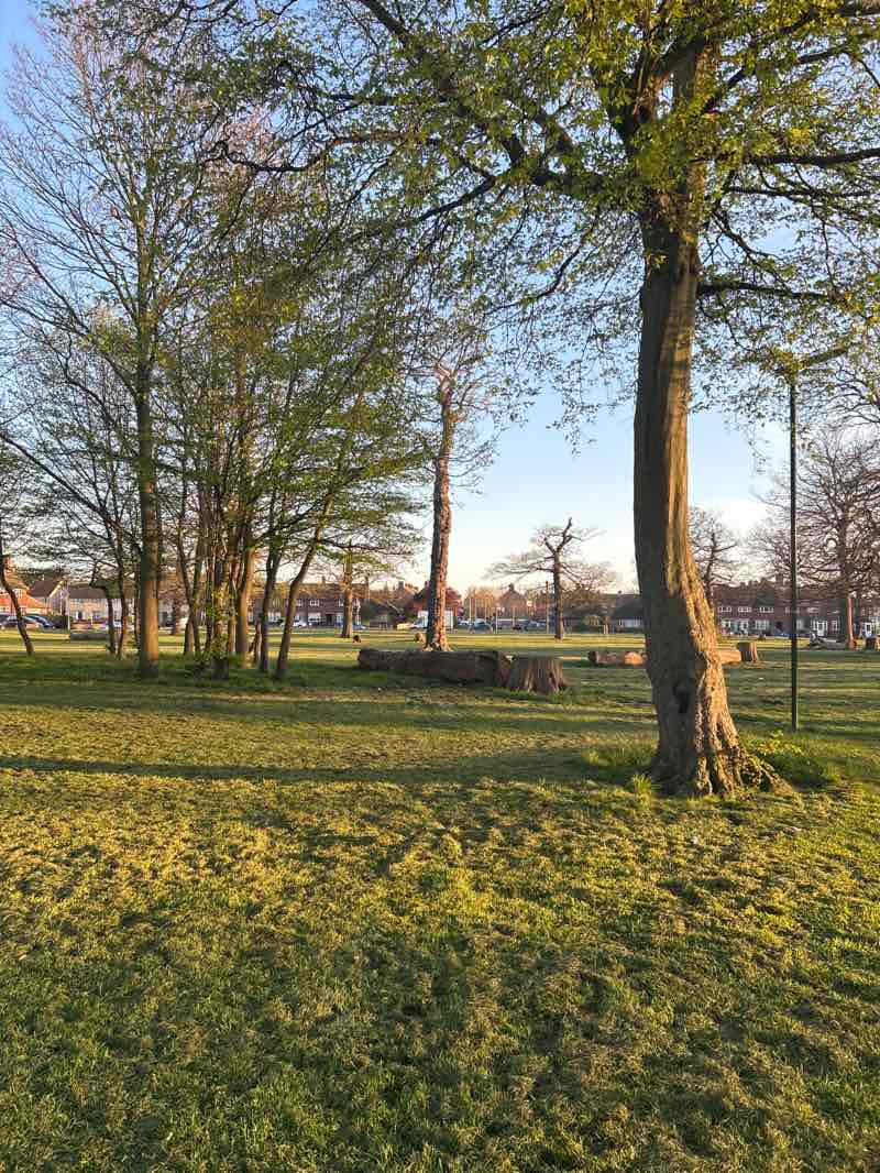 walking near me in Bonnygate Wood Park in spring