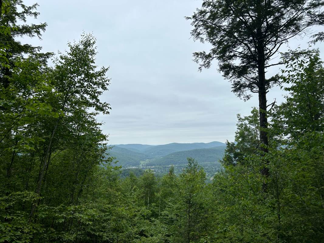 walking near me in Emery Park in summer