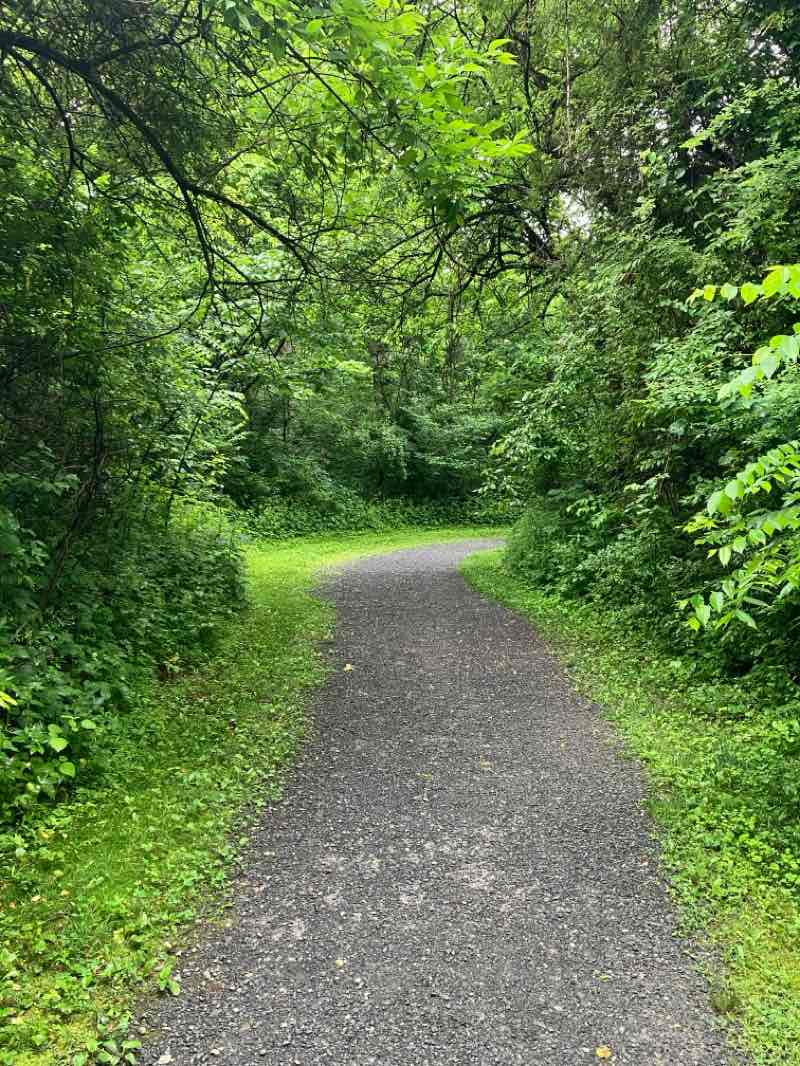 walking near me in Rose Hill Park in summer