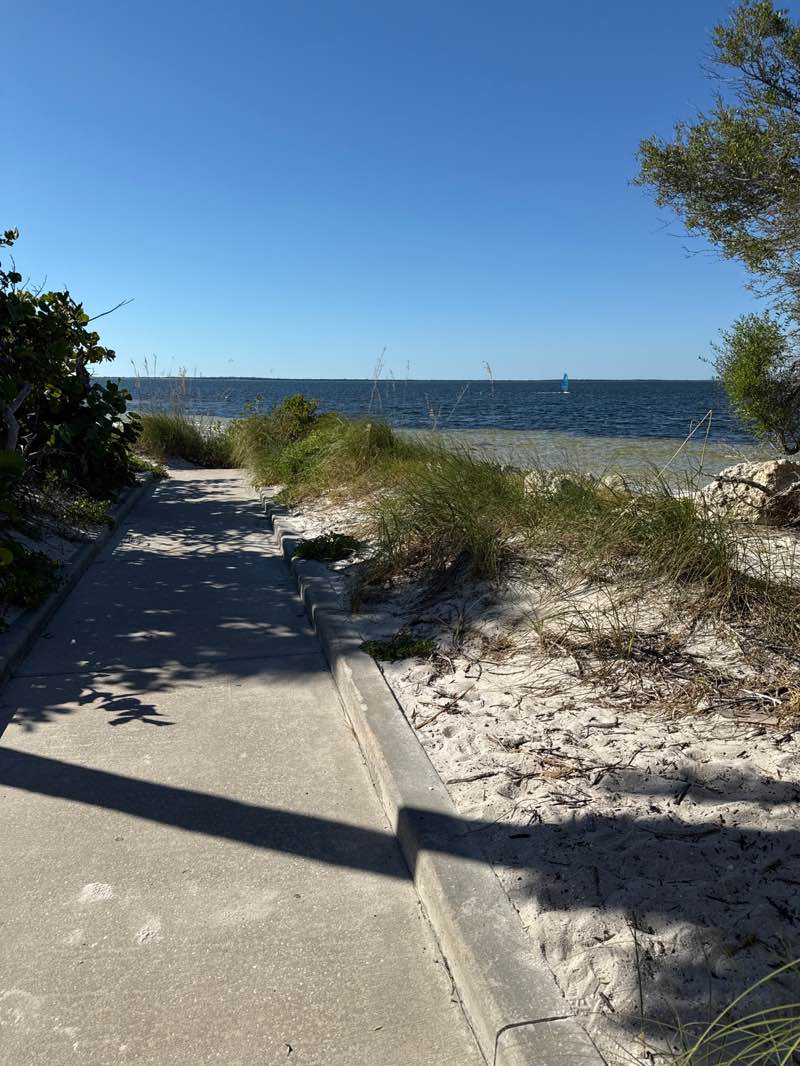 walking near me in Fred Howard Park in autumn