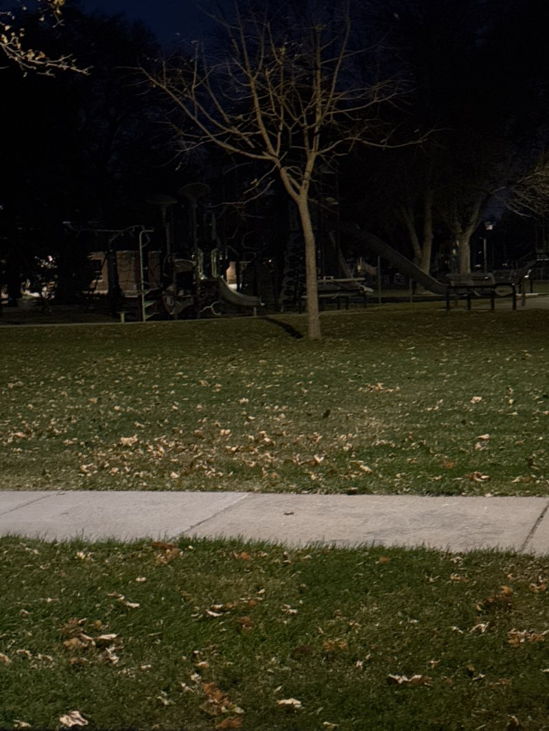 walking near me in Collins Park in autumn