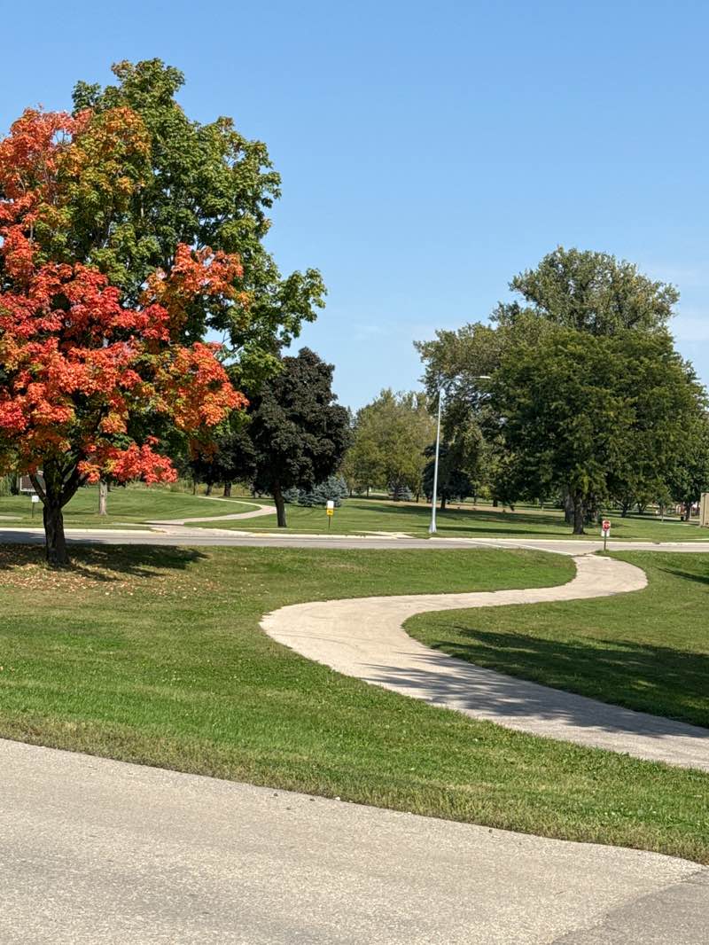 walking near me in Community Park in autumn