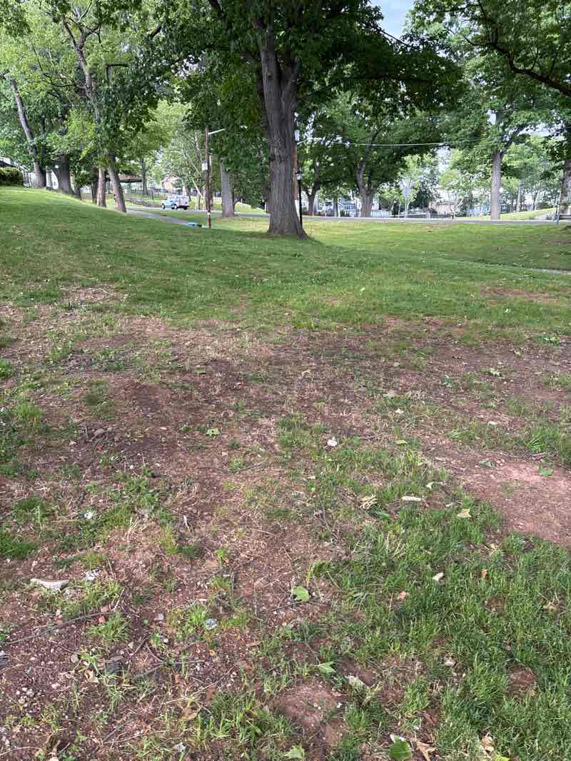 walking near me in West Hudson Park in summer