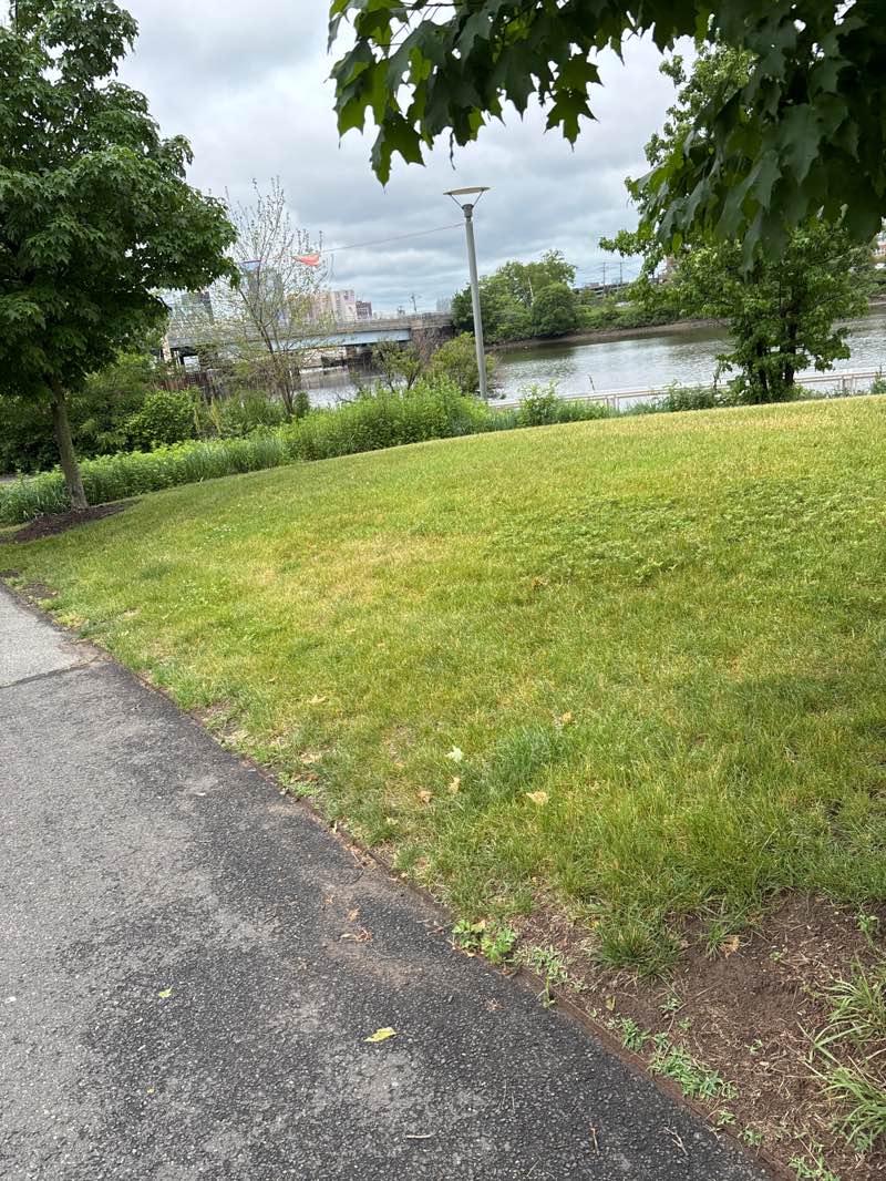 walking near me in Riverfront Park in summer
