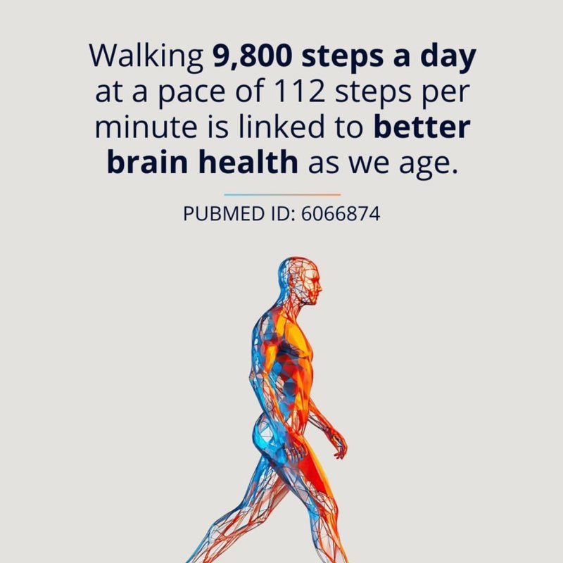 IMCC Lily post image