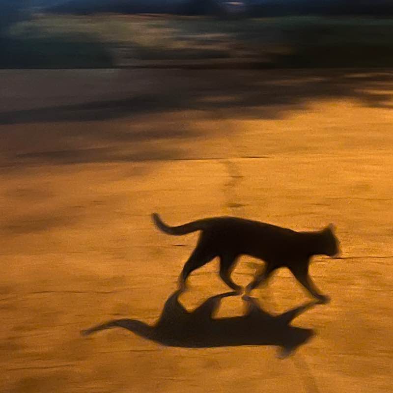 Hot girl walk 🌸 Brisa post image