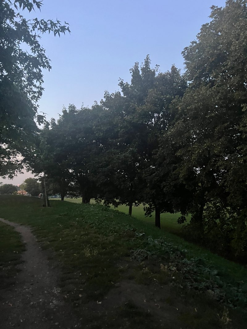 walking near me in Benhill Recreation Ground in autumn