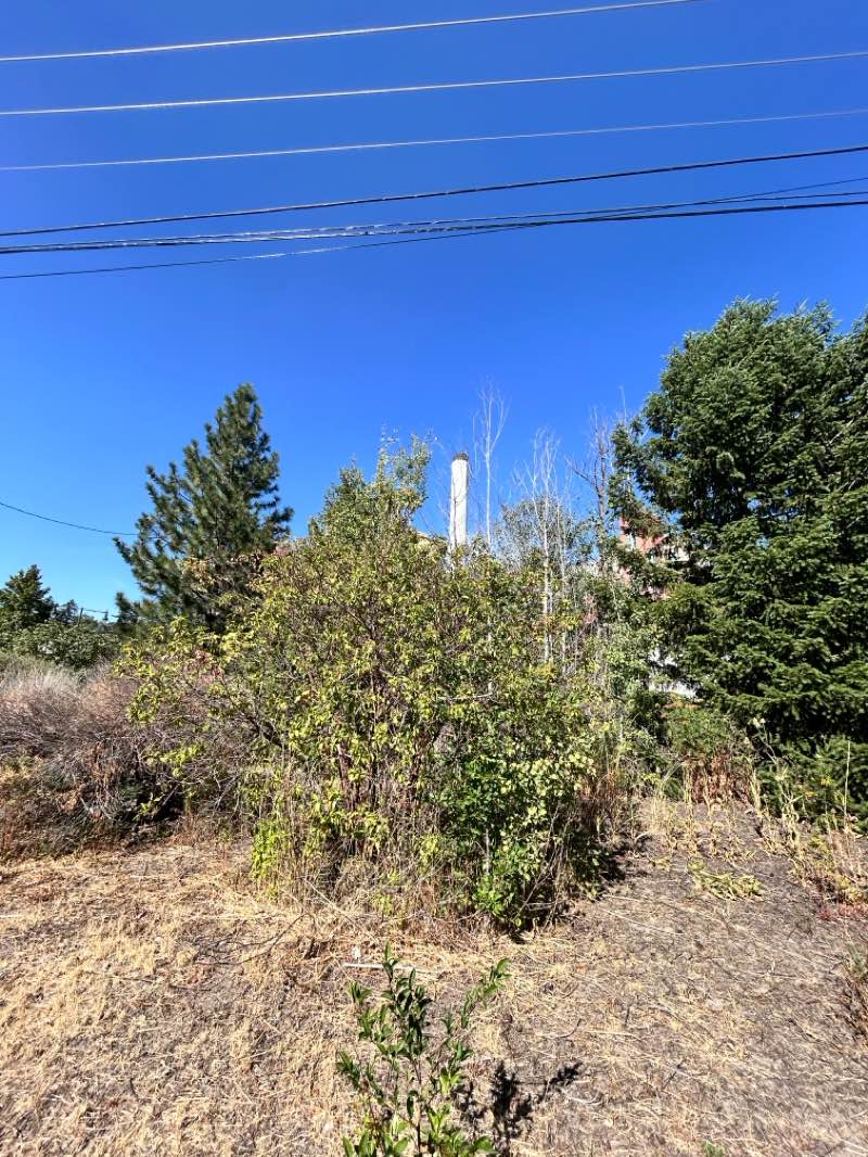 walking near me in City Playfields in autumn