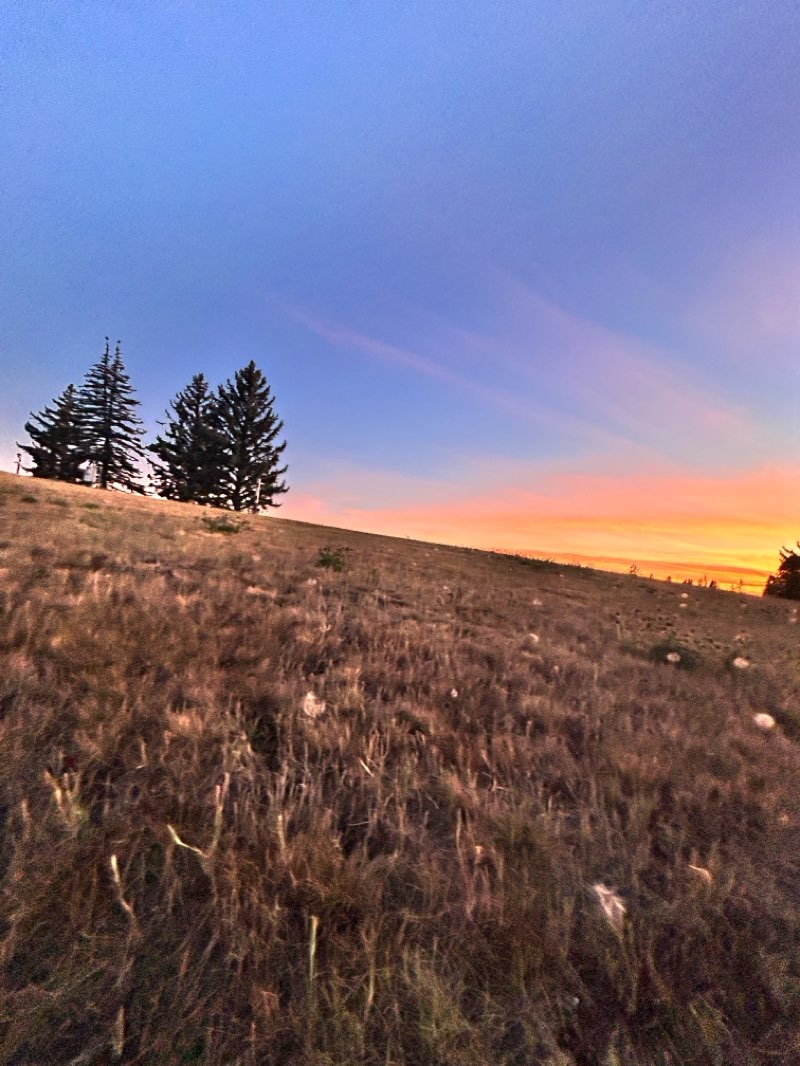 walking near me in Military Hill Park in autumn