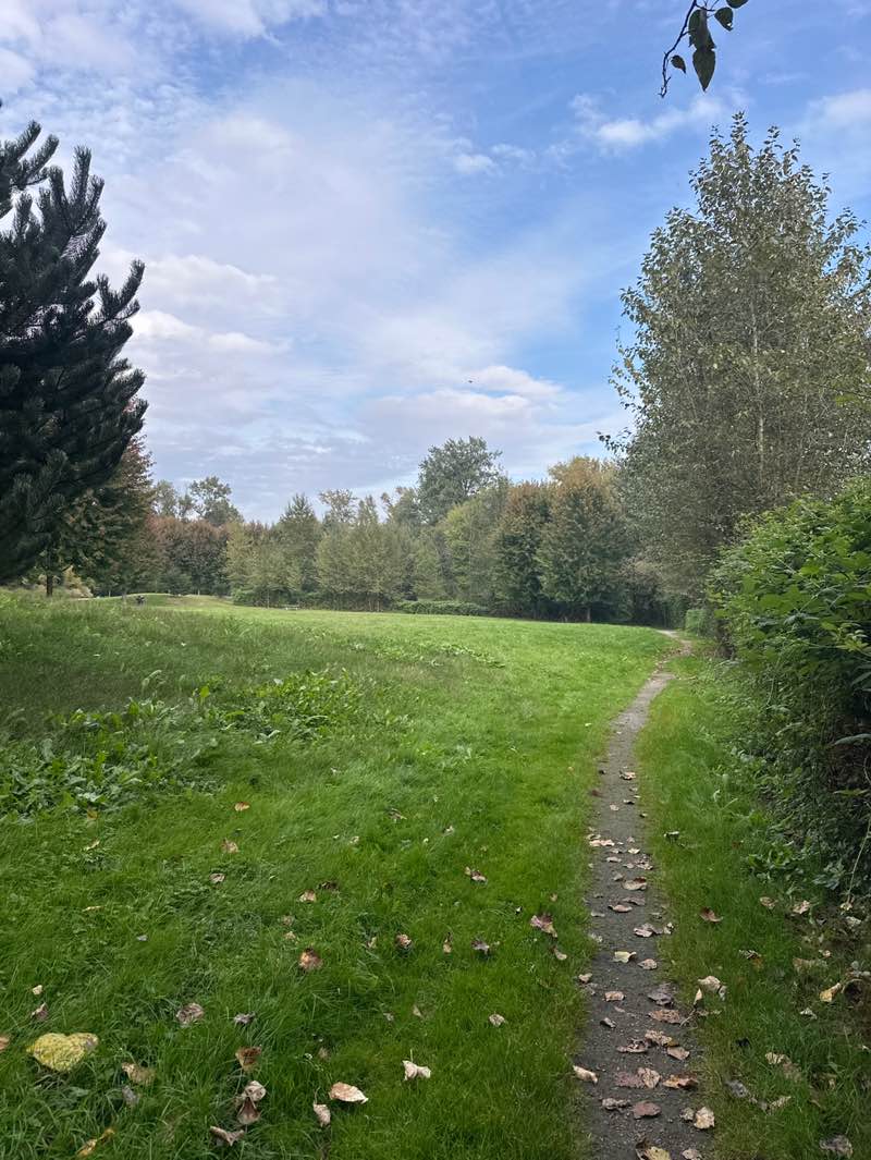 walking near me in Dominion Park in autumn