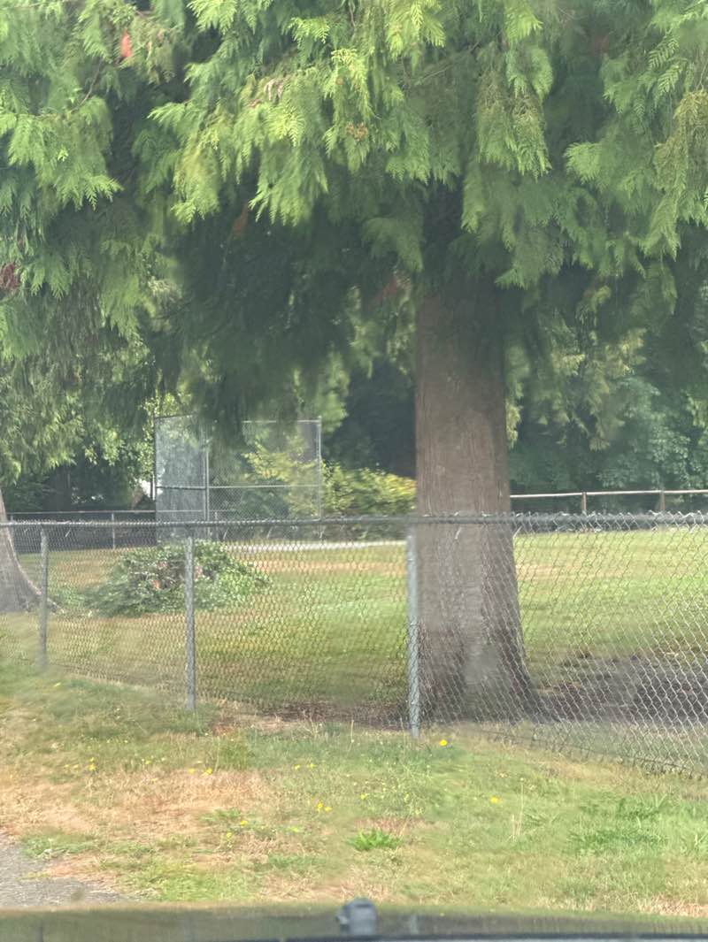 walking near me in North Bonson Park in autumn