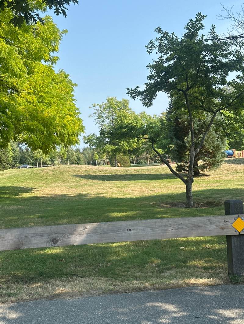 walking near me in Blakeburn Park in autumn