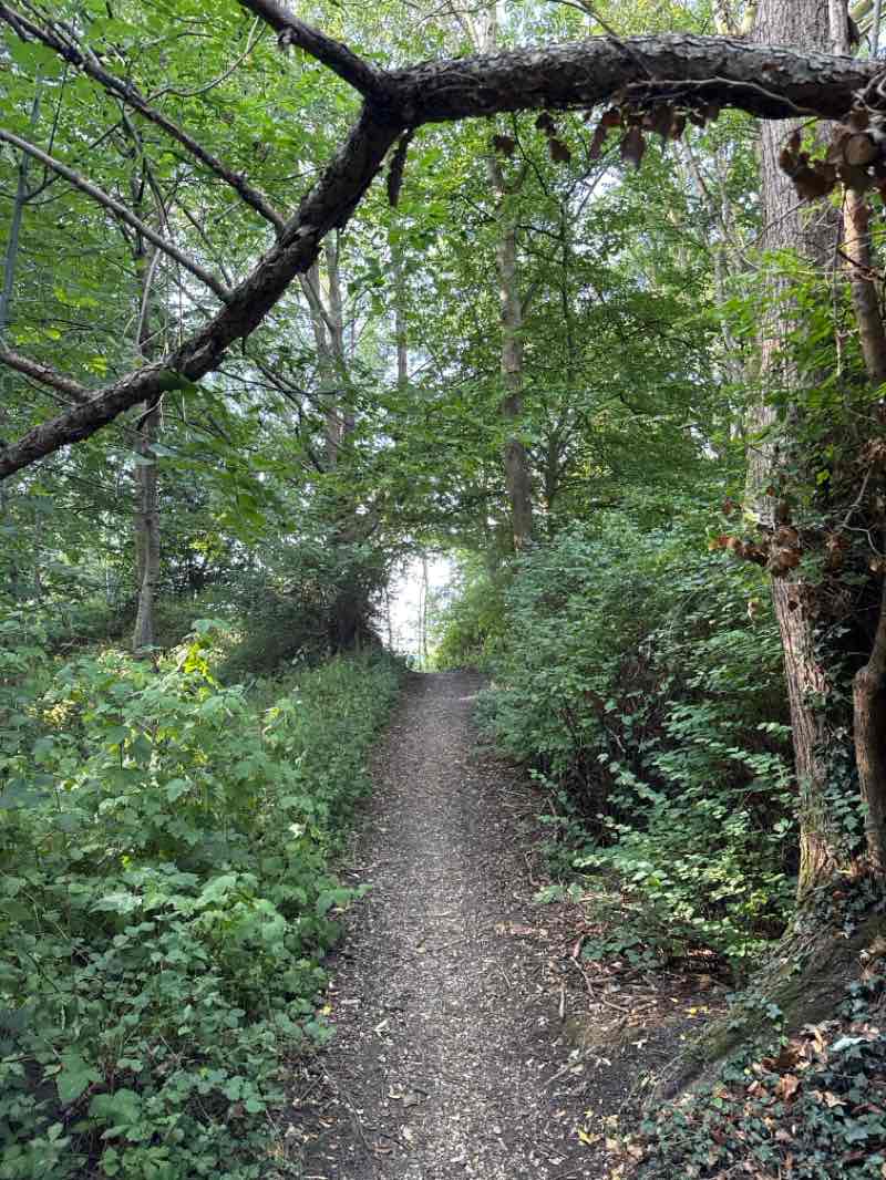 walking near me in Church Meadows in autumn