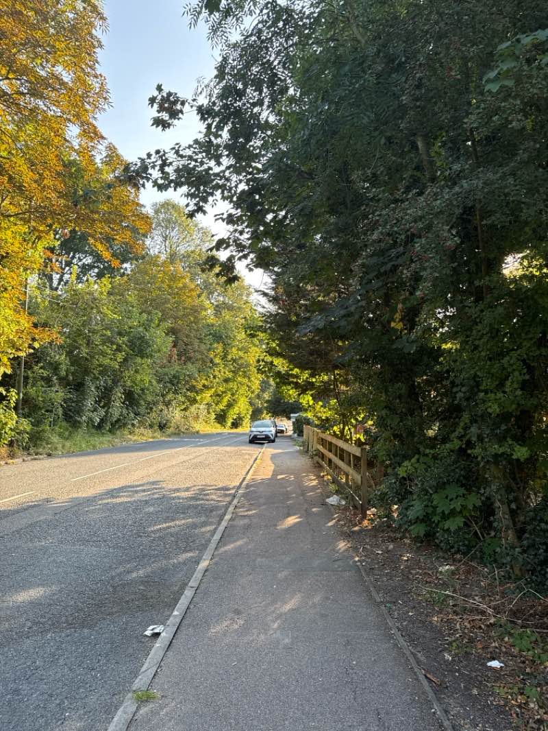 walking near me in Wray Common in autumn