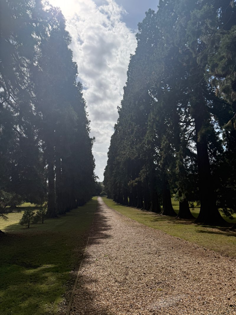 walking near me in Royal Earlswood Park in autumn