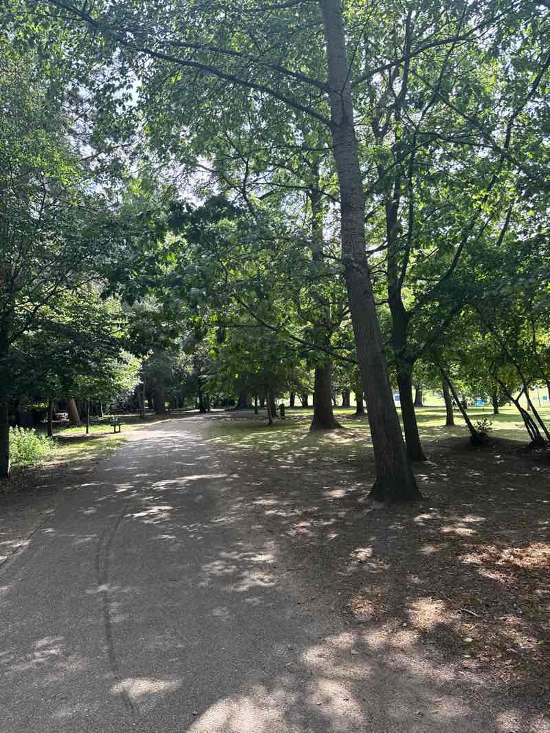 walking near me in Priory Park in autumn
