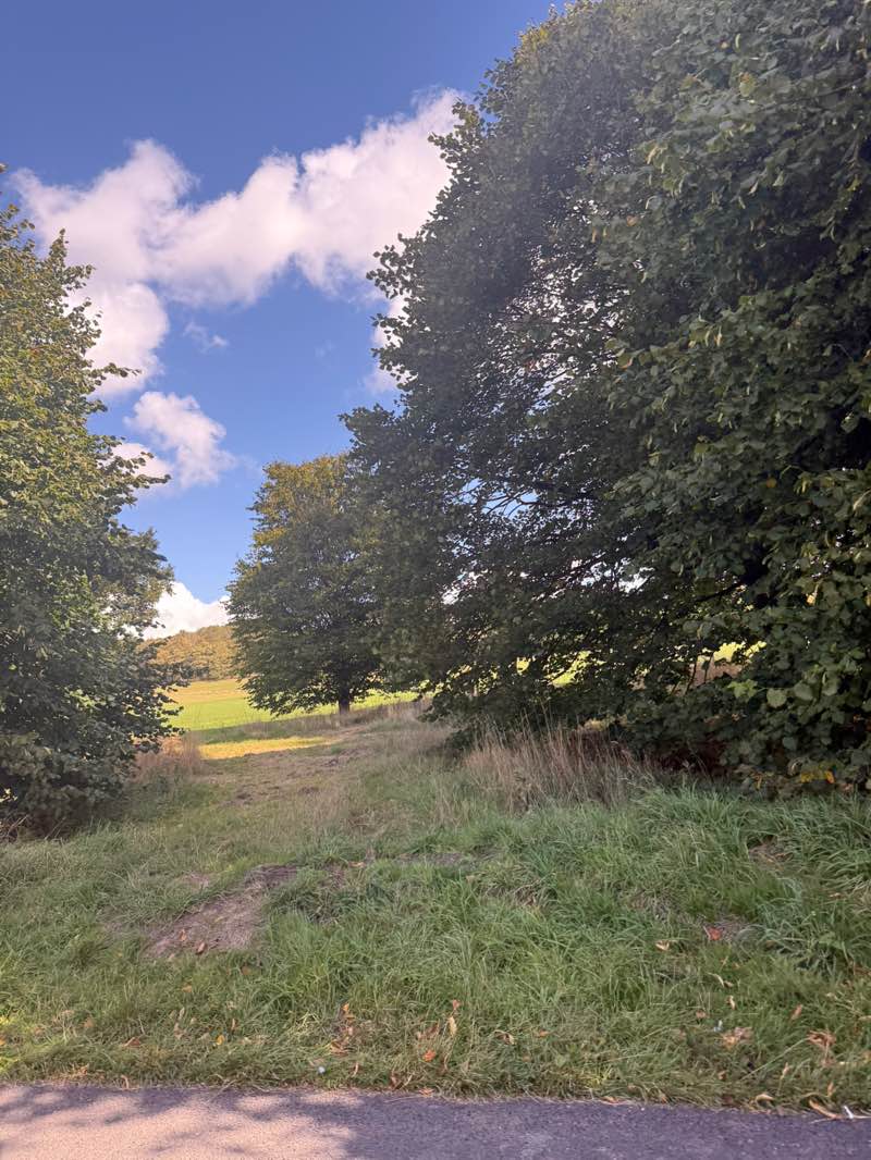 walking near me in Stanmer Park in autumn
