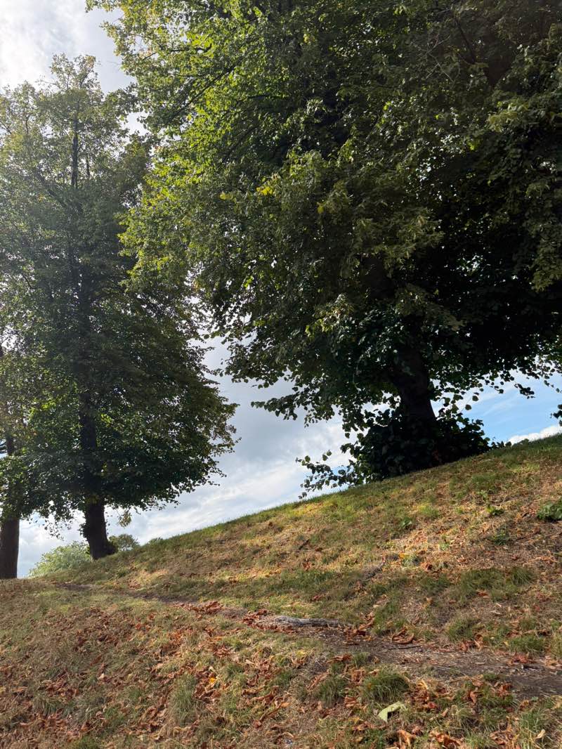 walking near me in Duppas Hill Recreation Ground in autumn